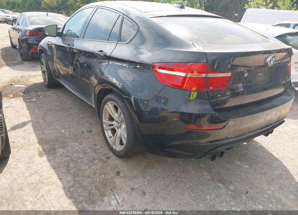 2013 BMW X6 VIN: 5YMGZ0C52D0C40145