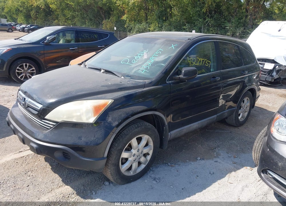2009 HONDA CR-V VIN: 5J6RE38529L001313