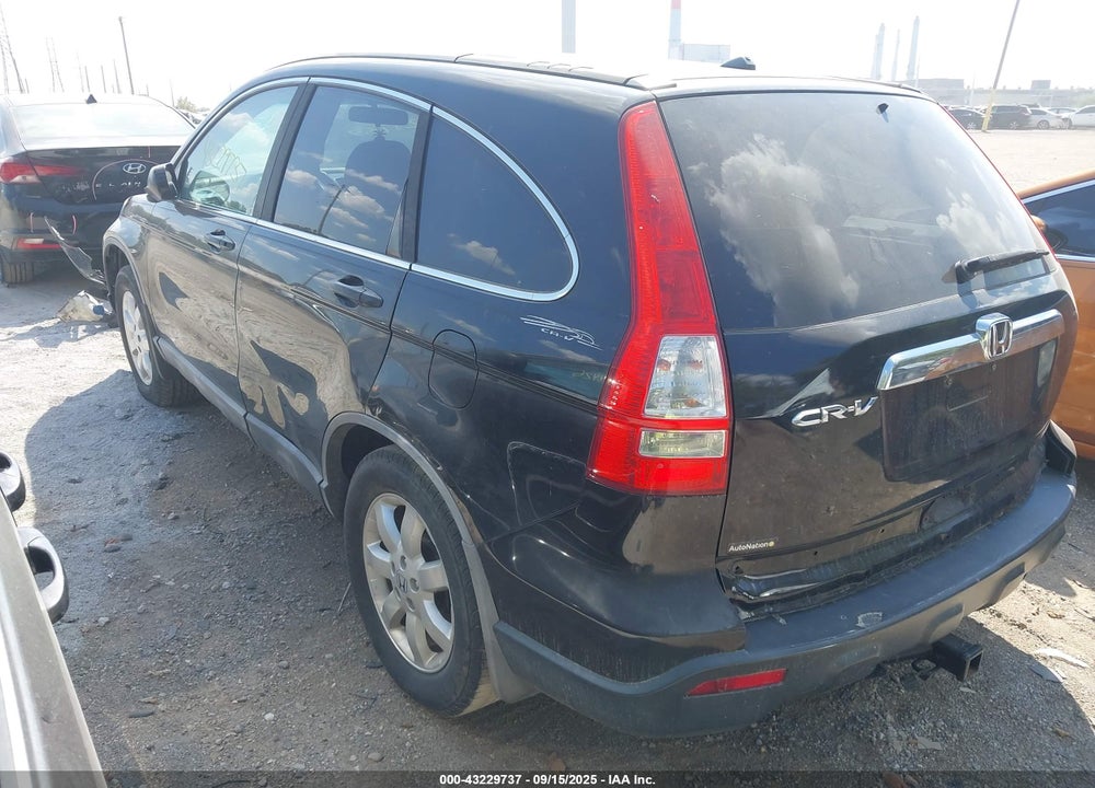 2009 HONDA CR-V VIN: 5J6RE38529L001313