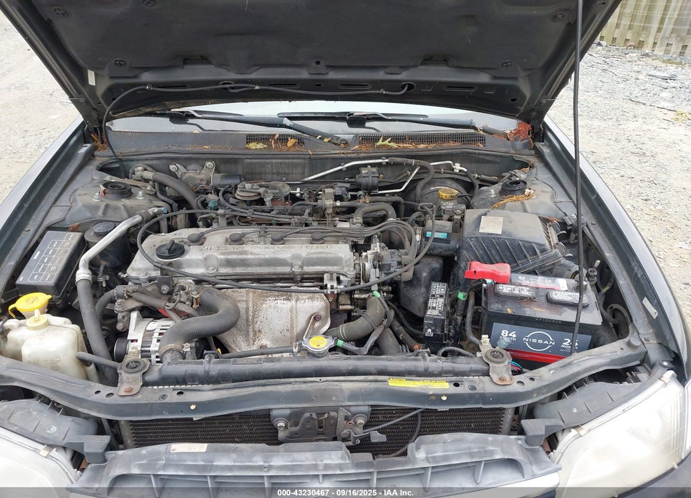 1999 NISSAN ALTIMA GLE/GXE/SE/SE-L/XE VIN: 1N4DL01D9XC109999