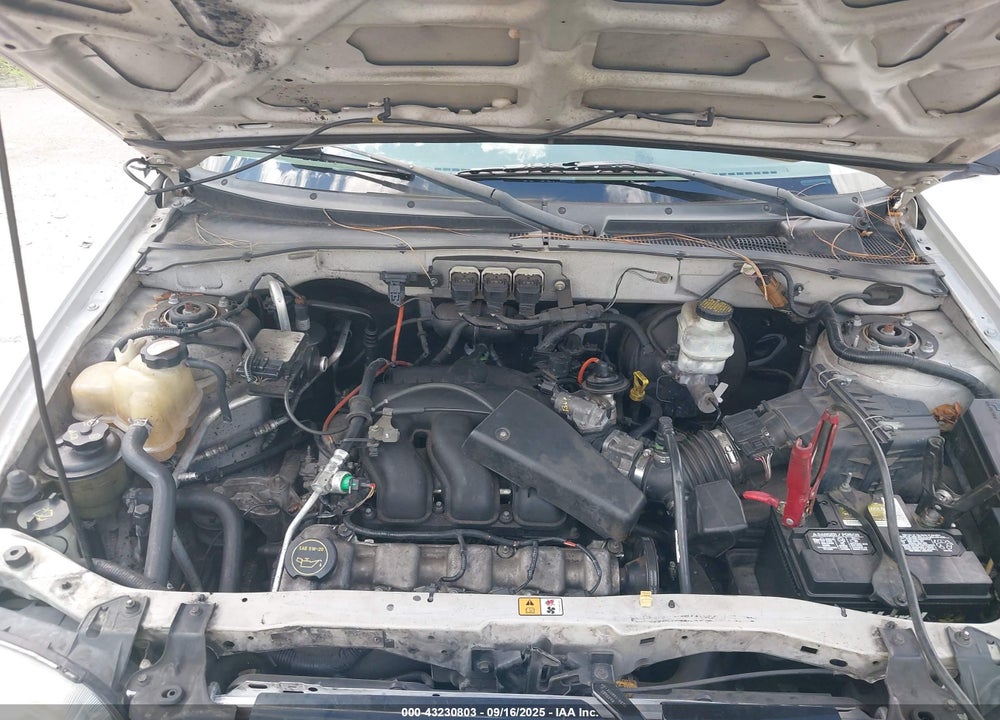 2005 FORD ESCAPE XLT VIN: 1FMYU031X5KB23968