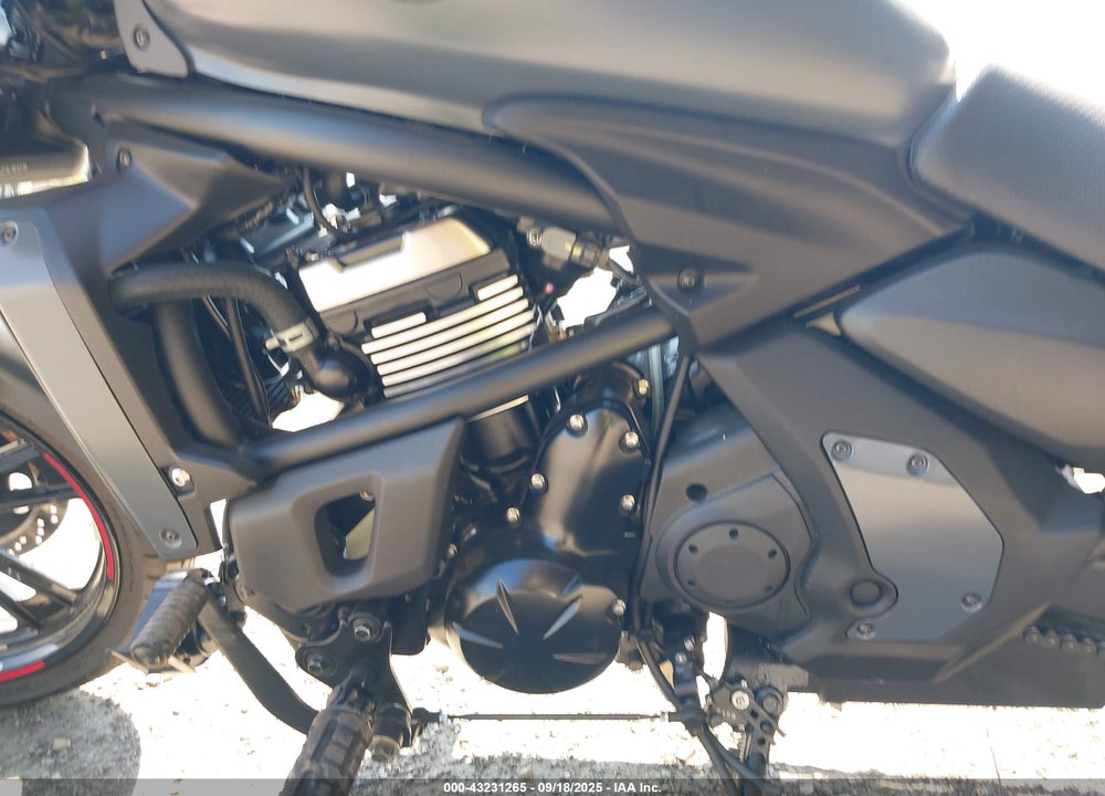 2024 KAWASAKI EN650 E VIN: JKAENEE10RDA07023