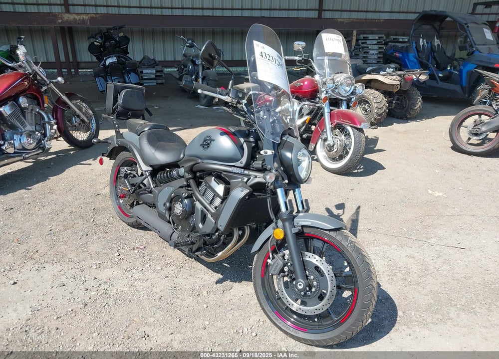 2024 KAWASAKI EN650 E VIN: JKAENEE10RDA07023