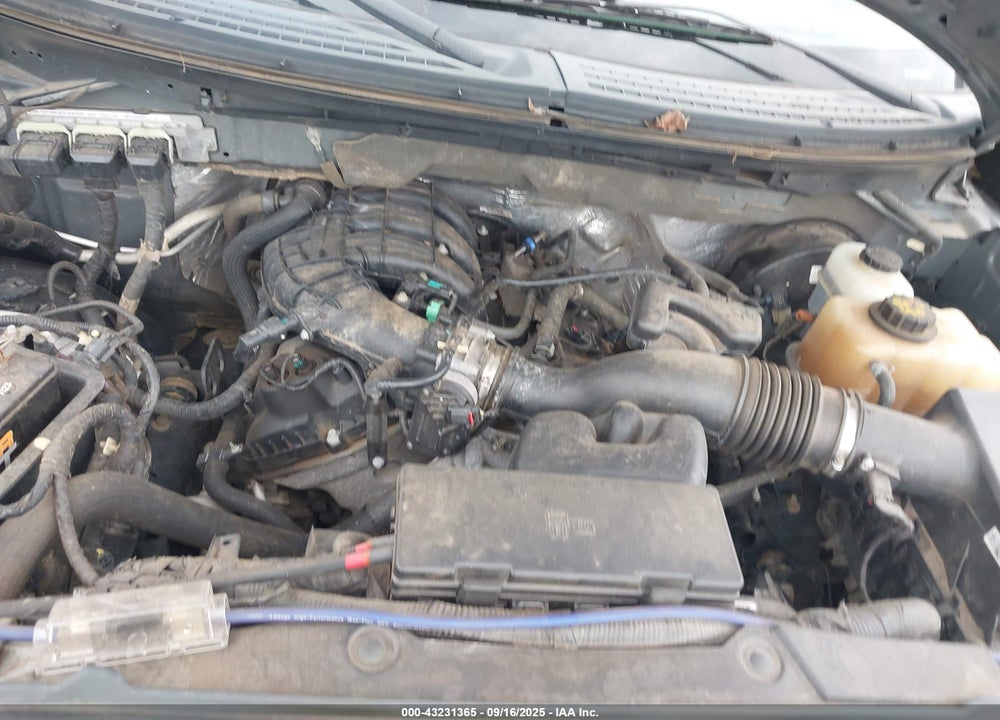 2013 FORD F-150 VIN: 1FTEW1CMXDFA32157