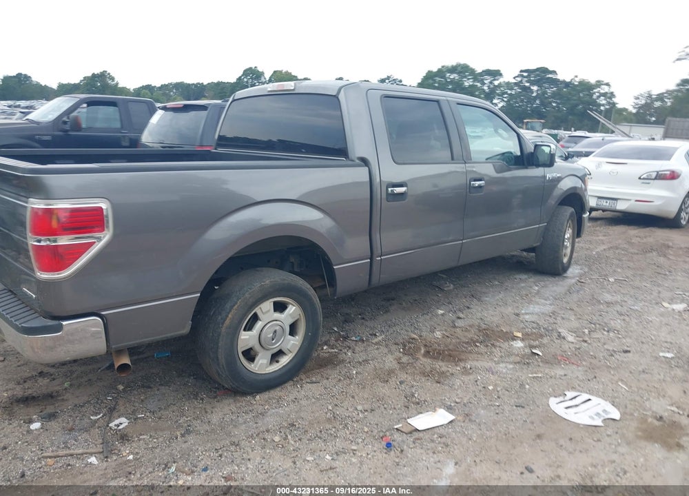 2013 FORD F-150 VIN: 1FTEW1CMXDFA32157