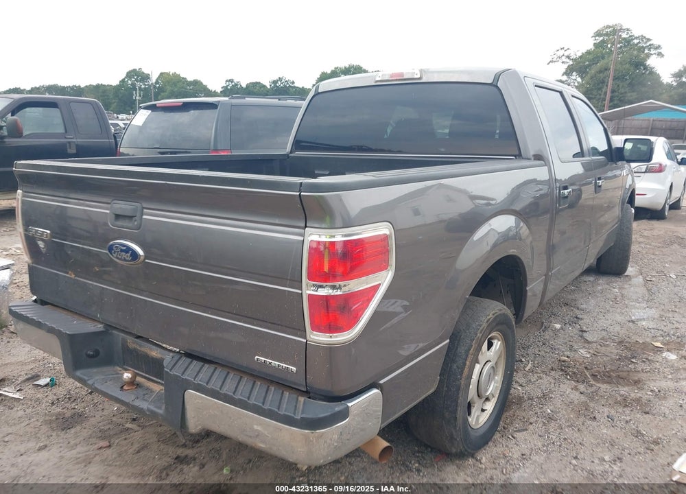 2013 FORD F-150 VIN: 1FTEW1CMXDFA32157