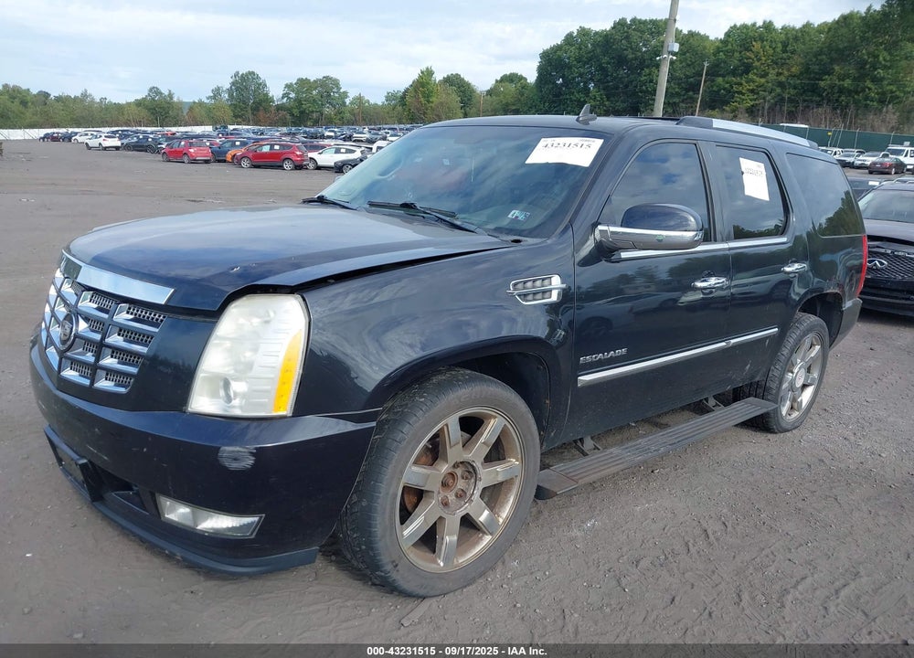 2010 CADILLAC ESCALADE VIN: 1GYUKCEF8AR179731