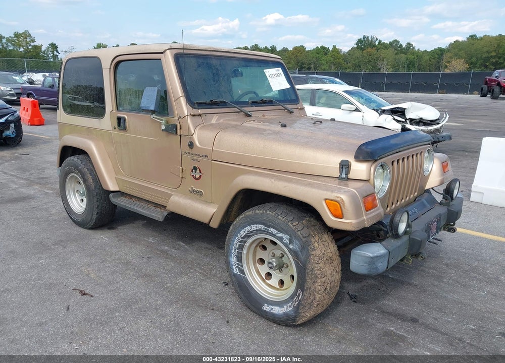 1999 JEEP WRANGLER SAHARA VIN: 1J4FY49S5XP462970