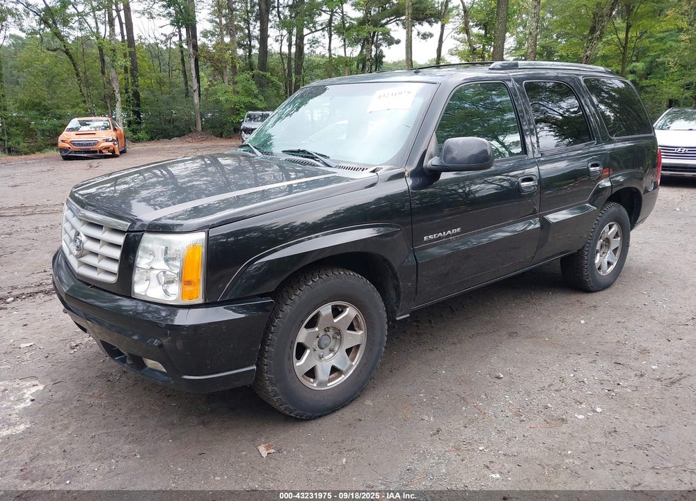 2002 CADILLAC ESCALADE STANDARD VIN: 1GYEK63NX2R118169