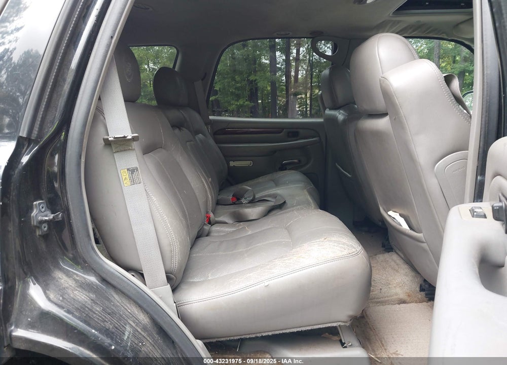 2002 CADILLAC ESCALADE STANDARD VIN: 1GYEK63NX2R118169