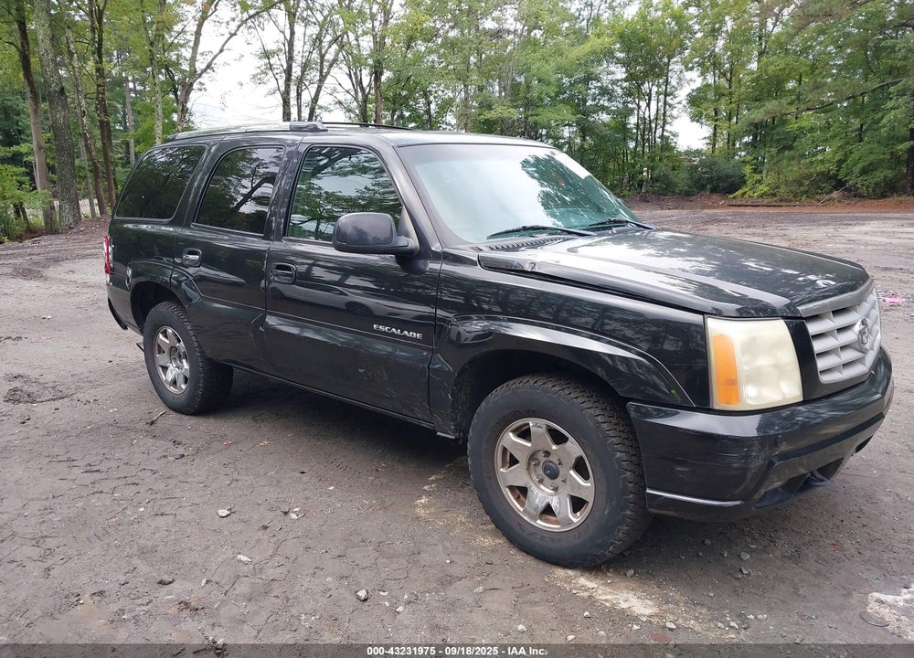 2002 CADILLAC ESCALADE STANDARD VIN: 1GYEK63NX2R118169