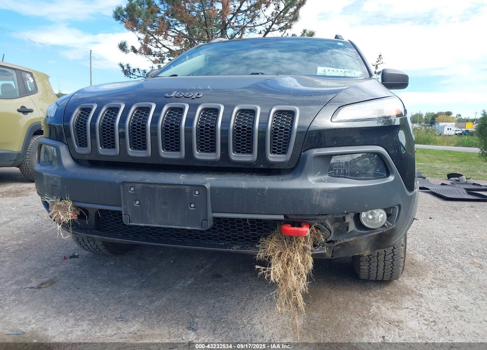 2016 JEEP CHEROKEE TRAILHAWK VIN: 1C4PJMBB0GW359311