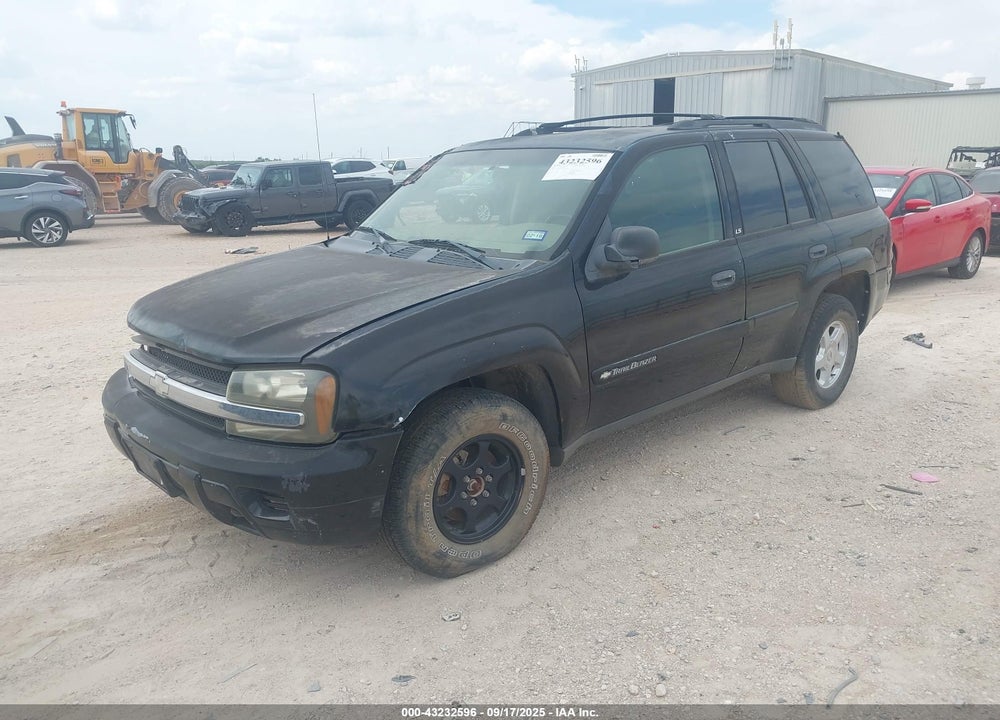 2002 CHEVROLET TRAILBLAZER LS VIN: 1GNDT13SX22236343