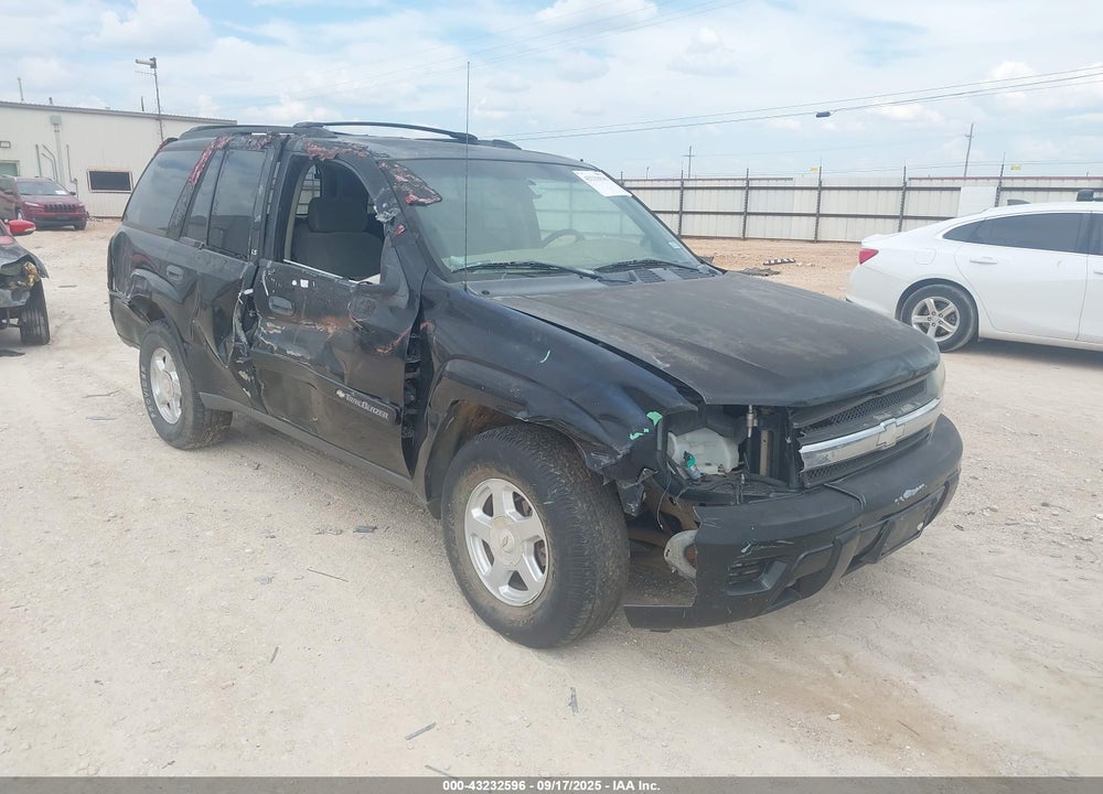 2002 CHEVROLET TRAILBLAZER LS VIN: 1GNDT13SX22236343