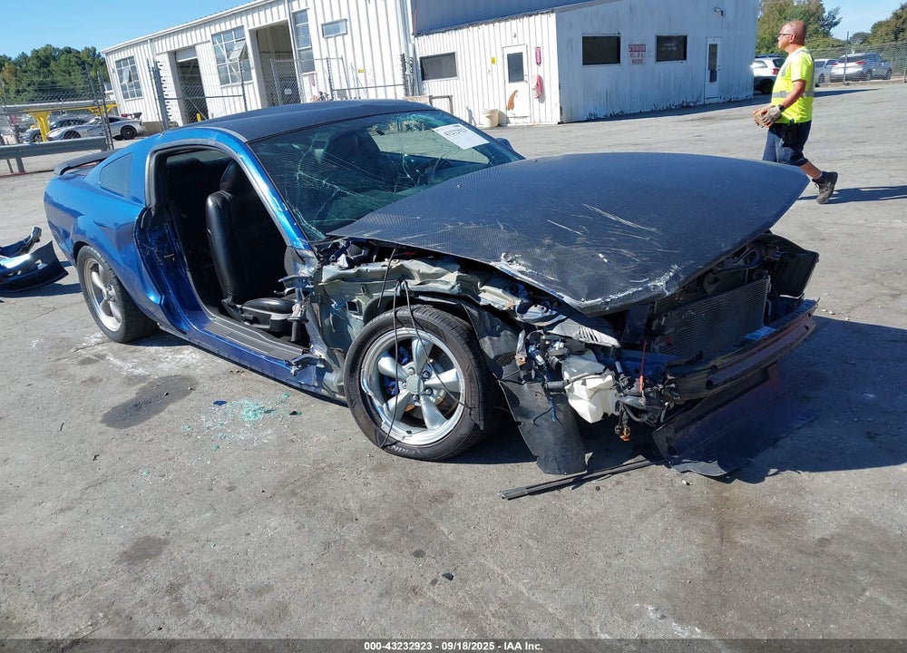 2006 FORD MUSTANG GT VIN: 1ZVFT82H665173713