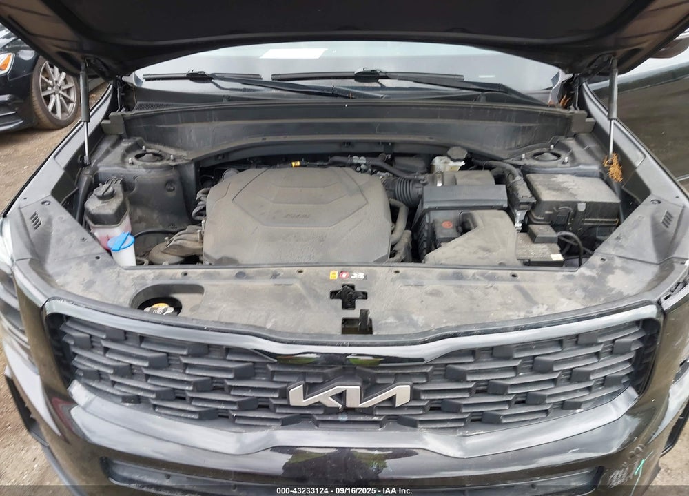 2022 KIA TELLURIDE VIN: 5XYP3DHC0NG275610