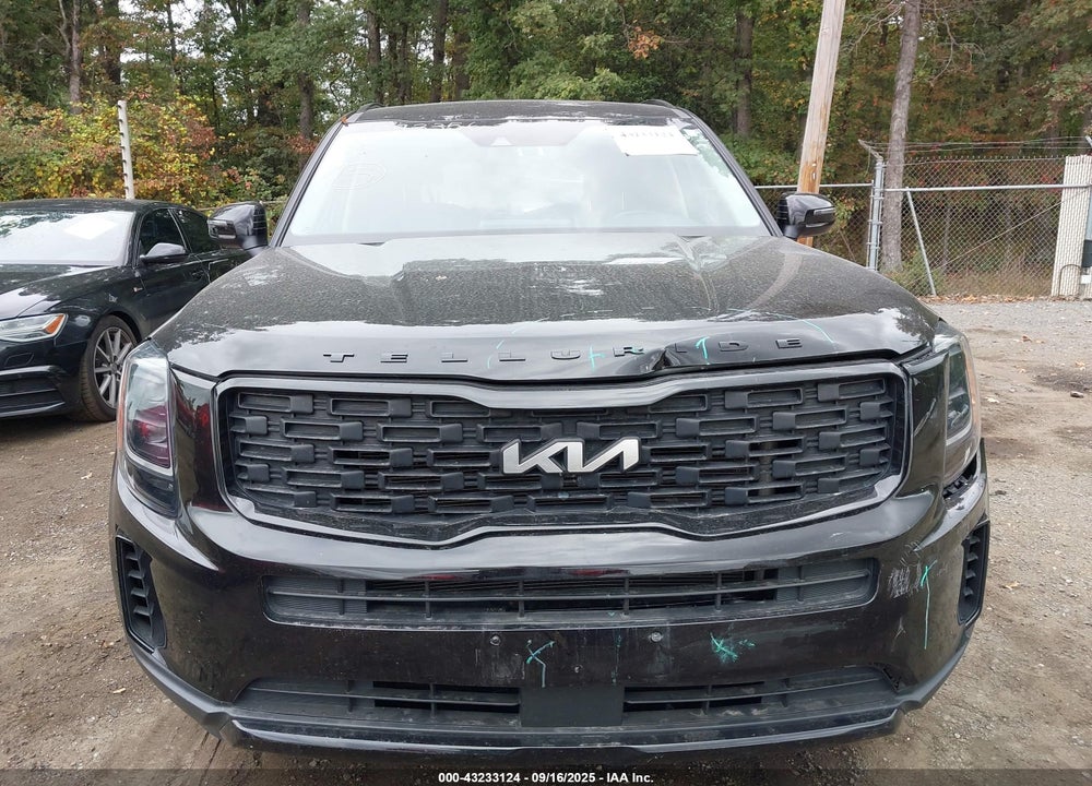 2022 KIA TELLURIDE VIN: 5XYP3DHC0NG275610