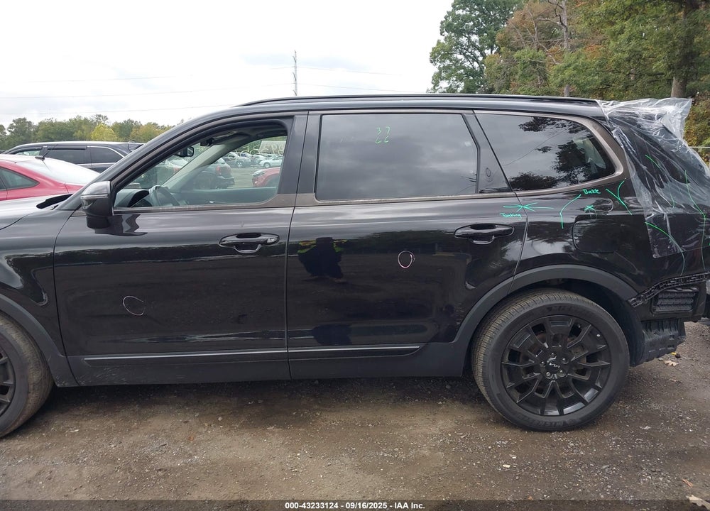 2022 KIA TELLURIDE VIN: 5XYP3DHC0NG275610