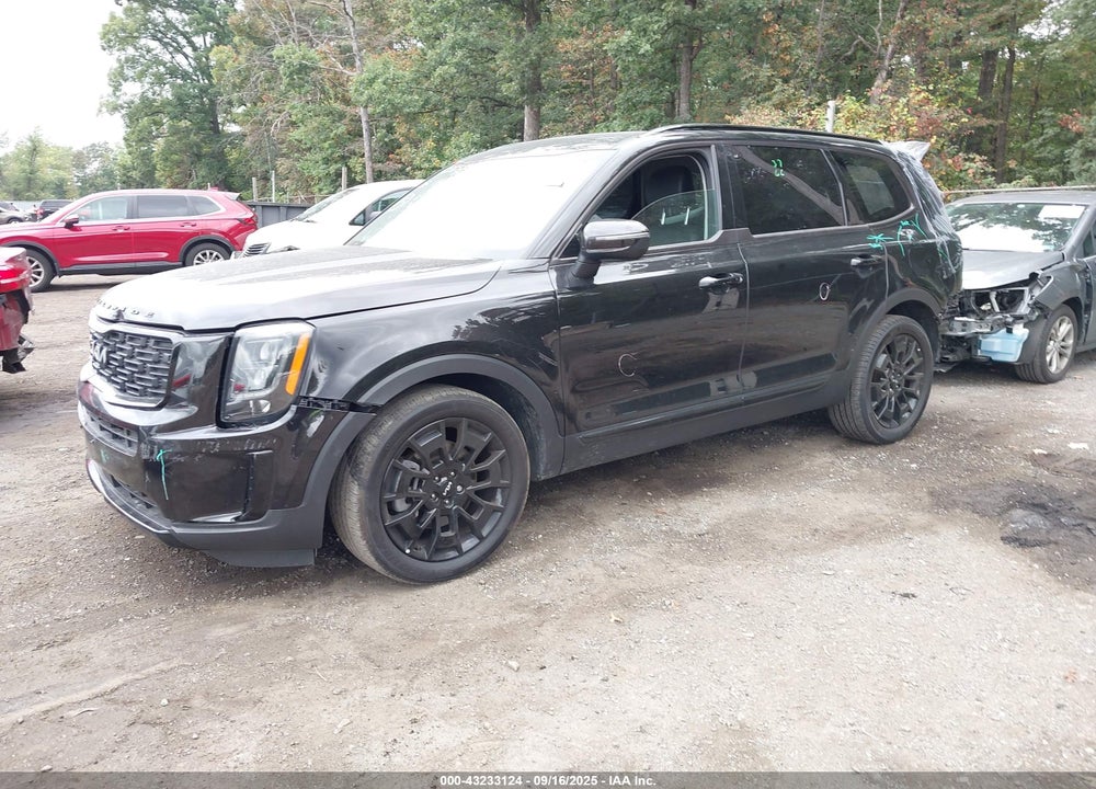 2022 KIA TELLURIDE VIN: 5XYP3DHC0NG275610