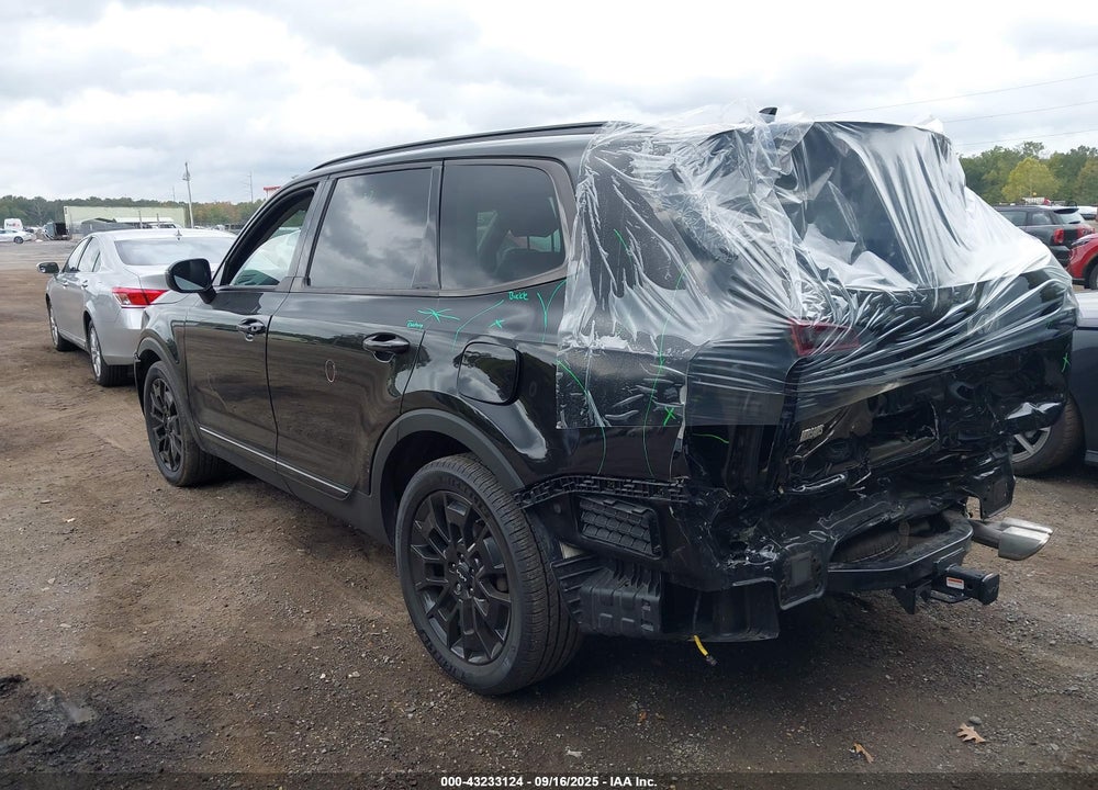 2022 KIA TELLURIDE VIN: 5XYP3DHC0NG275610