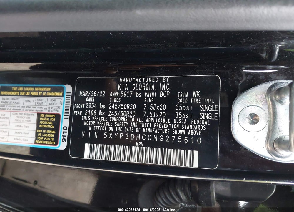 2022 KIA TELLURIDE VIN: 5XYP3DHC0NG275610