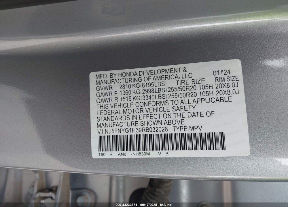 2024 HONDA PILOT VIN: 5FNYG1H39RB032026