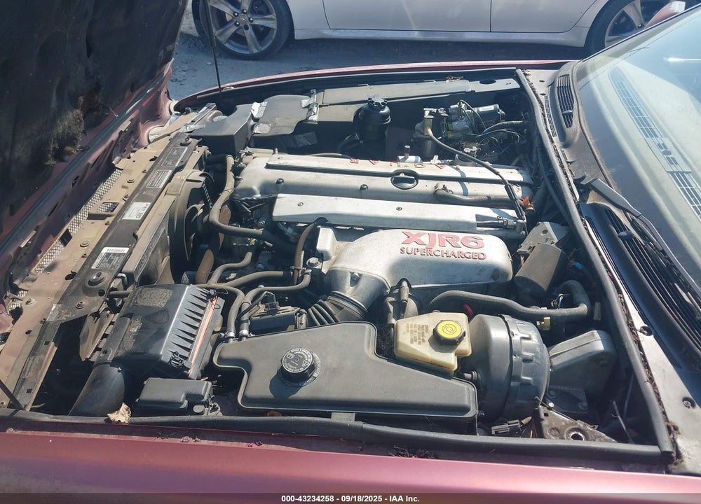 1996 JAGUAR XJR VIN: SAJPX1141TC781357