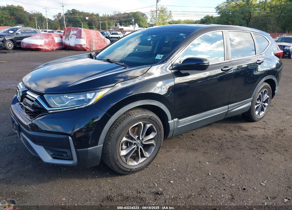 2021 HONDA CR-V VIN: 2HKRW2H55MH621244