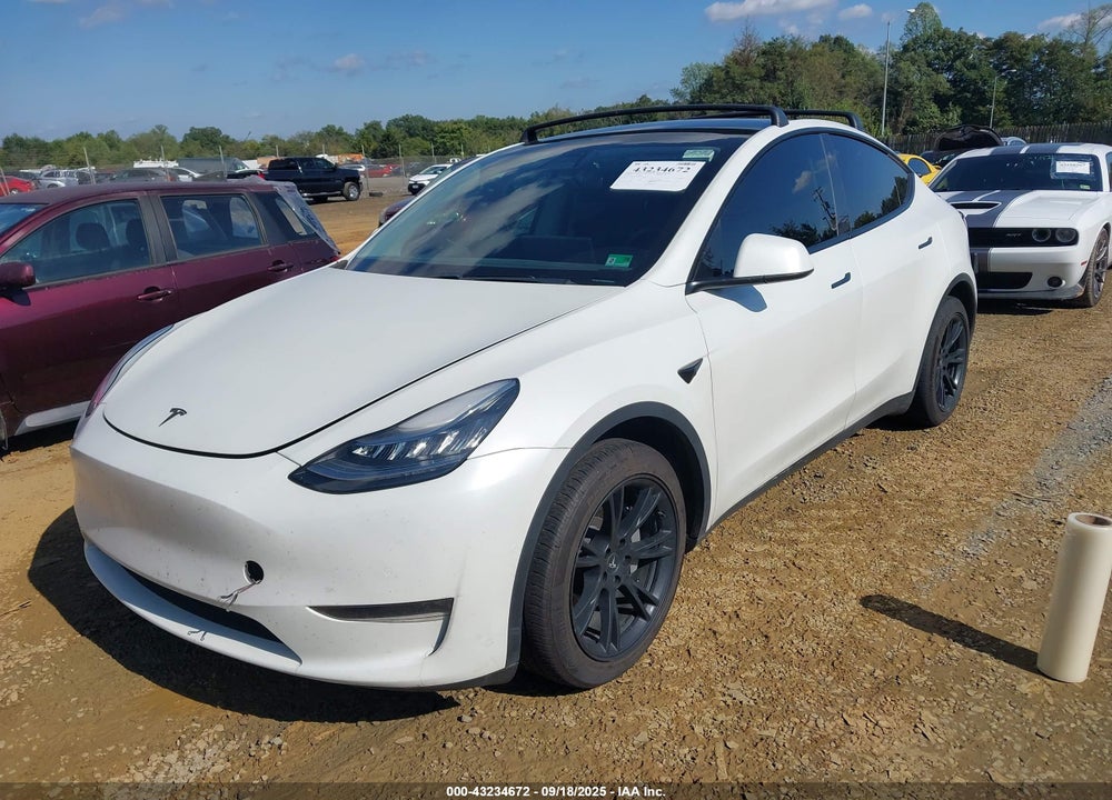 2020 TESLA MODEL Y VIN: 5YJYGDEE1LF010097