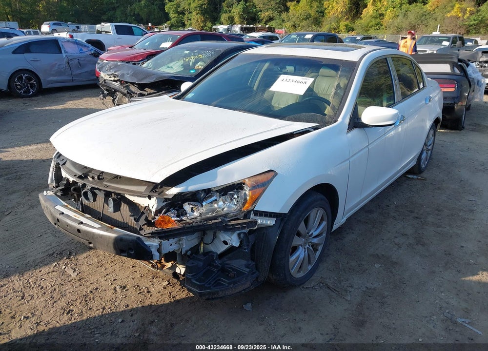 2012 HONDA ACCORD VIN: 1HGCP3F81CA009698