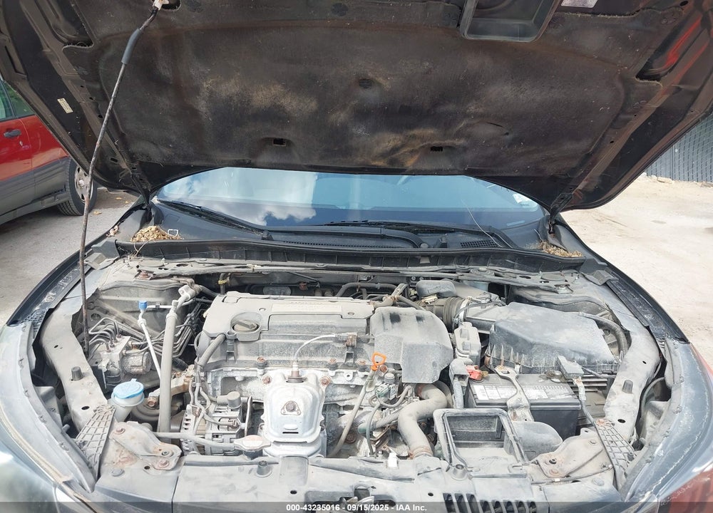 2013 HONDA ACCORD VIN: 1HGCR2F84DA007885