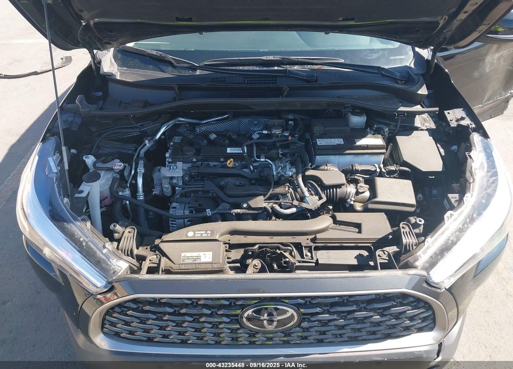 2024 TOYOTA COROLLA CROSS XLE VIN: 7MUDAAAG8RV075061