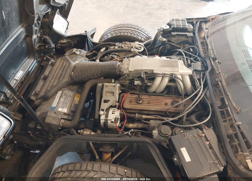 1991 CHEVROLET CORVETTE VIN: 1G1YY2388M5103936