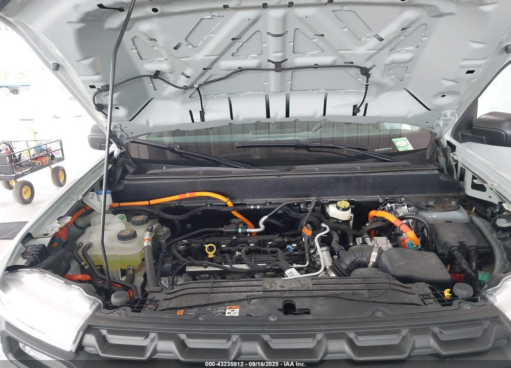 2024 FORD MAVERICK VIN: 3FTTW8A30RRA79878