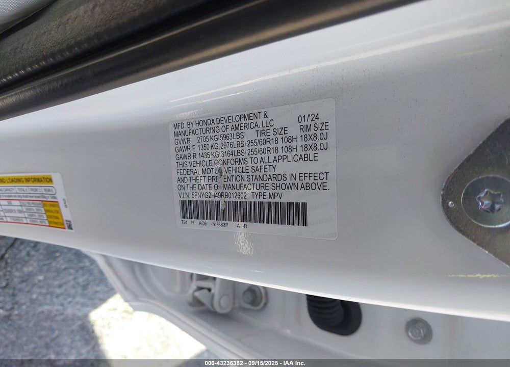 2024 HONDA PILOT EX-L VIN: 5FNYG2H49RB012602