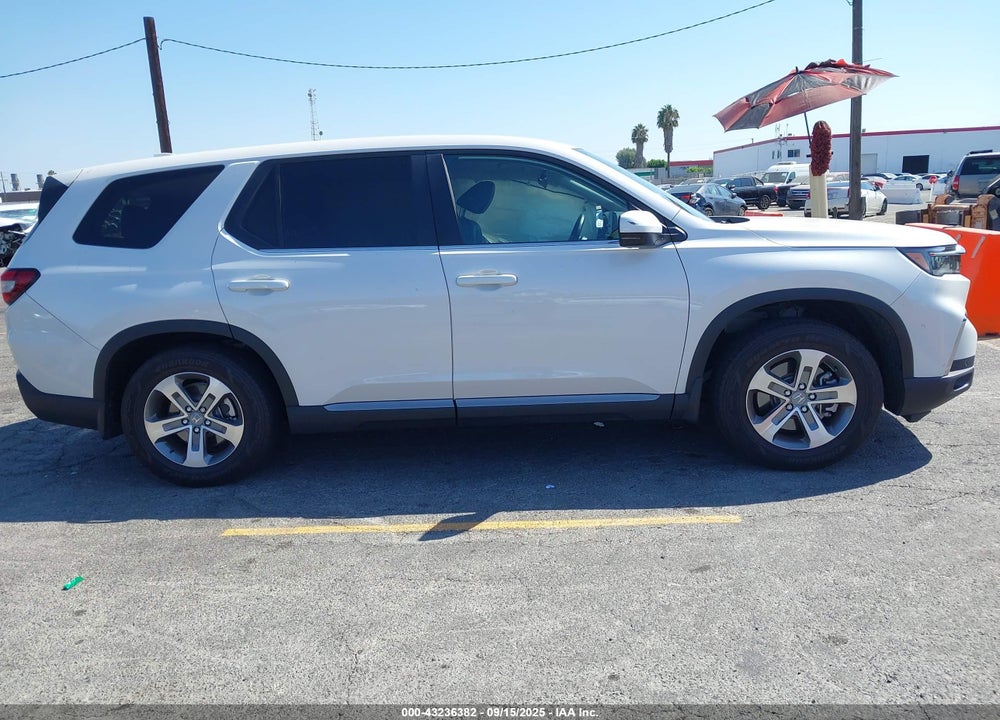 2024 HONDA PILOT EX-L VIN: 5FNYG2H49RB012602