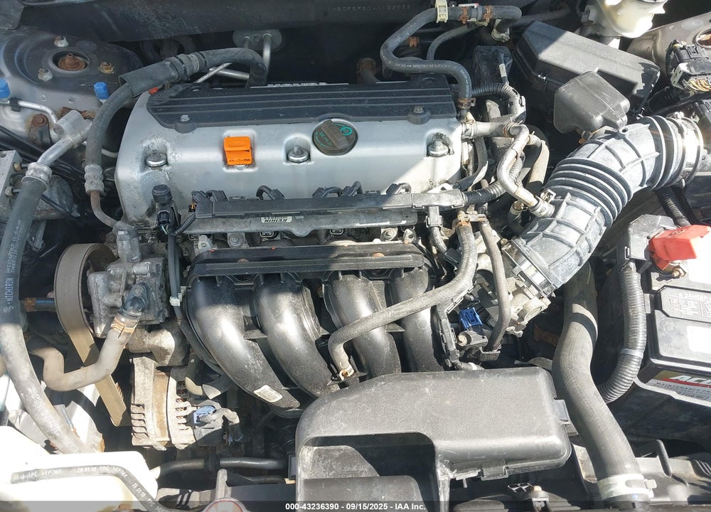 2010 HONDA ACCORD VIN: 1HGCP2F30AA163962