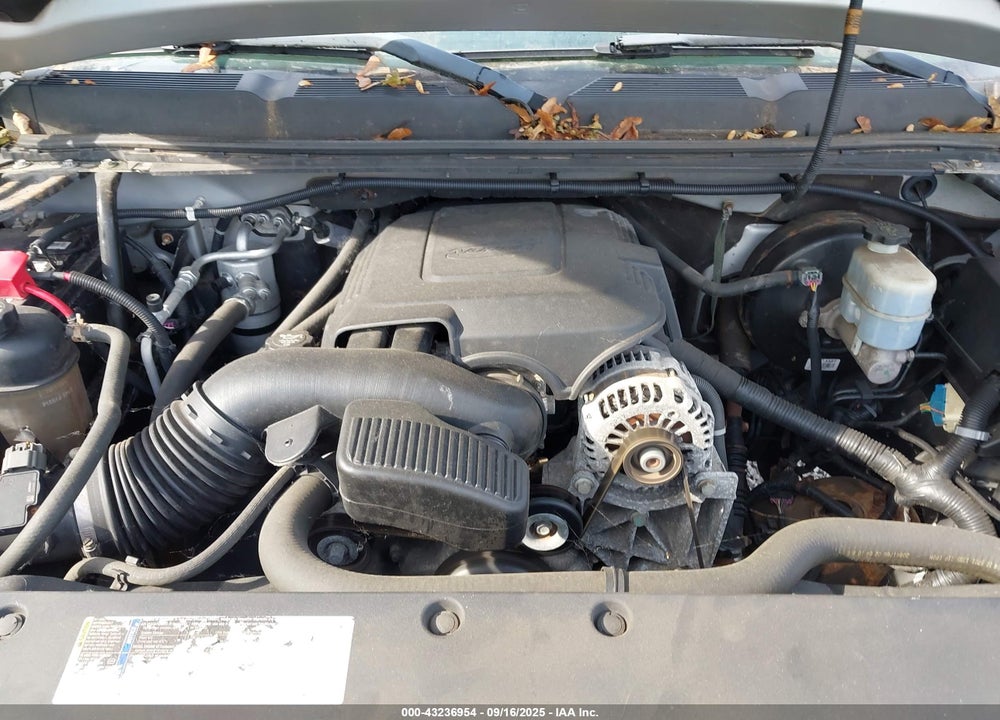 2010 CHEVROLET SILVERADO 1500 VIN: 1GCSKSE39AZ185552