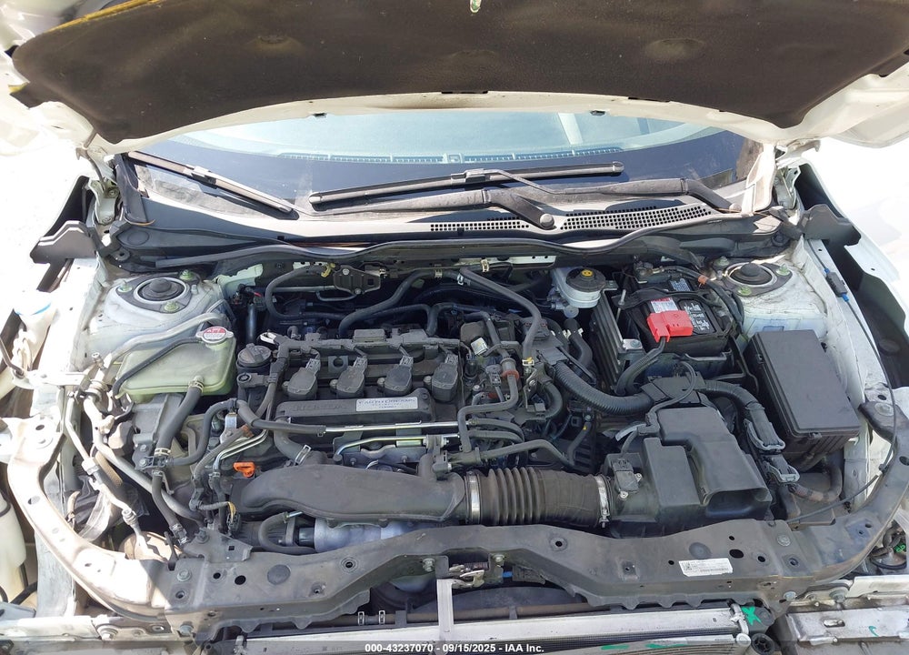 2017 HONDA CIVIC VIN: SHHFK7H56HU407720