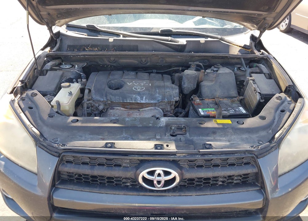 2009 TOYOTA RAV4 VIN: JTMBF32V79D019782
