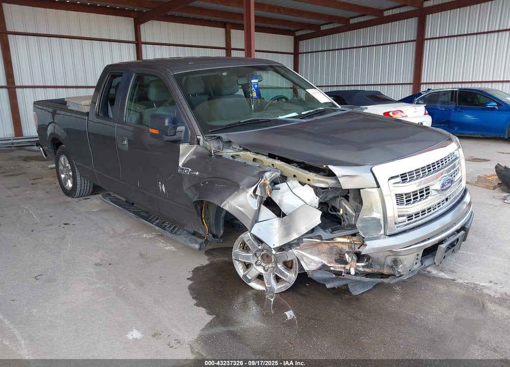 2013 FORD F-150 XLT VIN: 1FTFX1CF8DFB42031