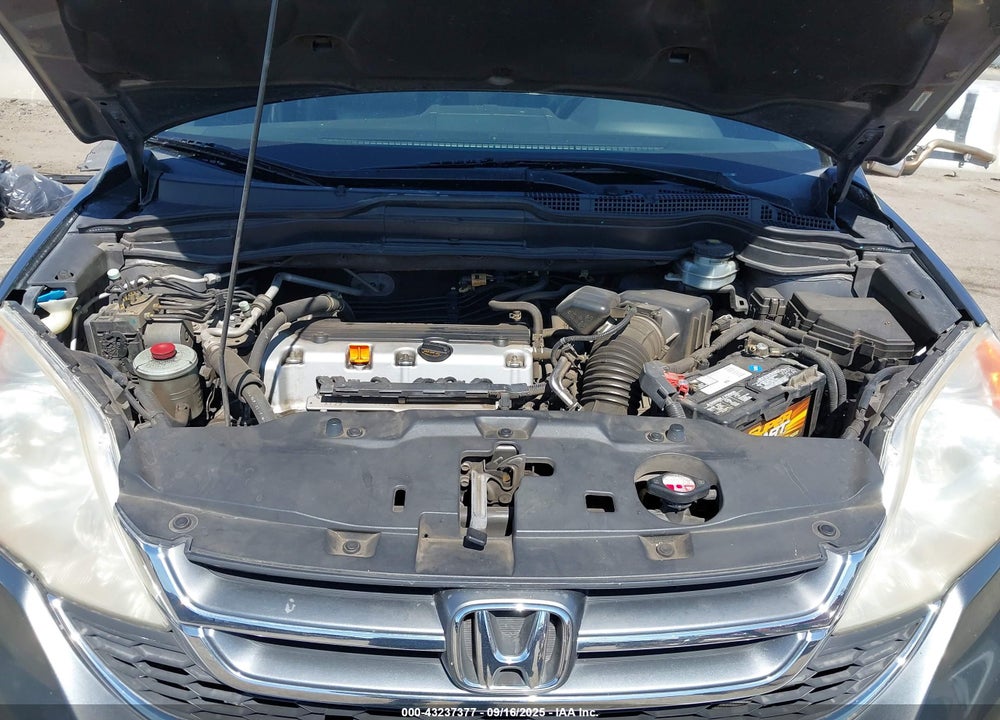 2010 HONDA CR-V VIN: JHLRE3H70AC008159