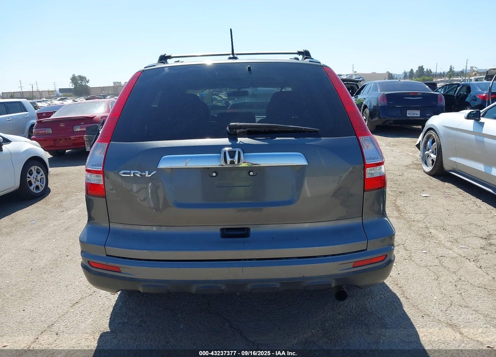 2010 HONDA CR-V VIN: JHLRE3H70AC008159