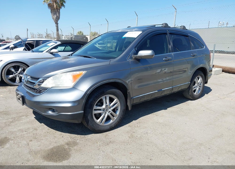 2010 HONDA CR-V VIN: JHLRE3H70AC008159
