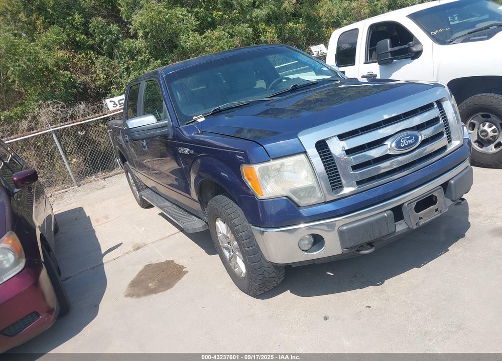 2012 FORD F-150 XLT VIN: 1FTFW1EF3CFB65702