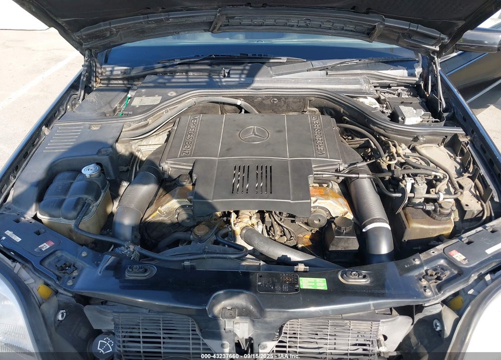 1997 MERCEDES-BENZ S 500 VIN: WDBGA70G6VA331313