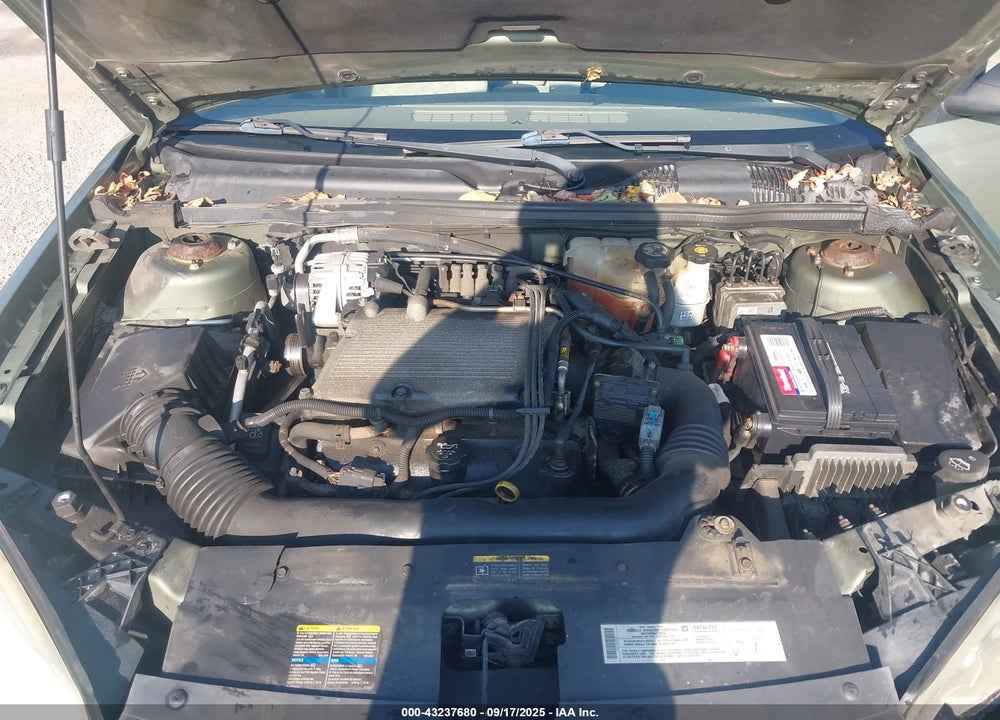 2004 CHEVROLET MALIBU MAXX LS VIN: 1G1ZT64804F190167