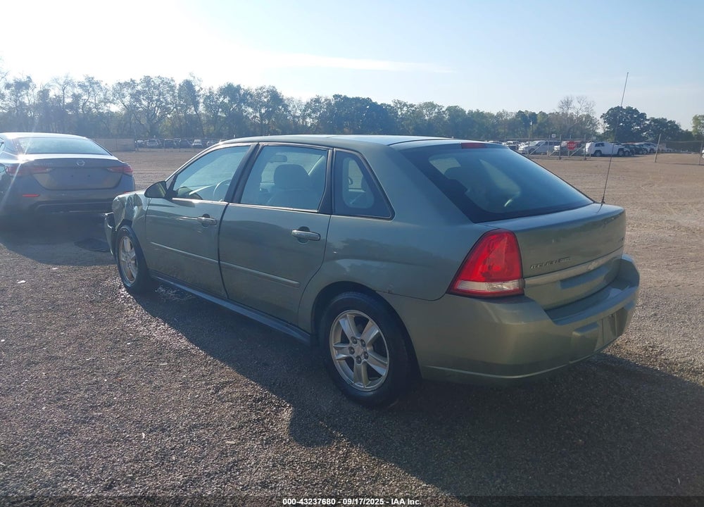 2004 CHEVROLET MALIBU MAXX LS VIN: 1G1ZT64804F190167