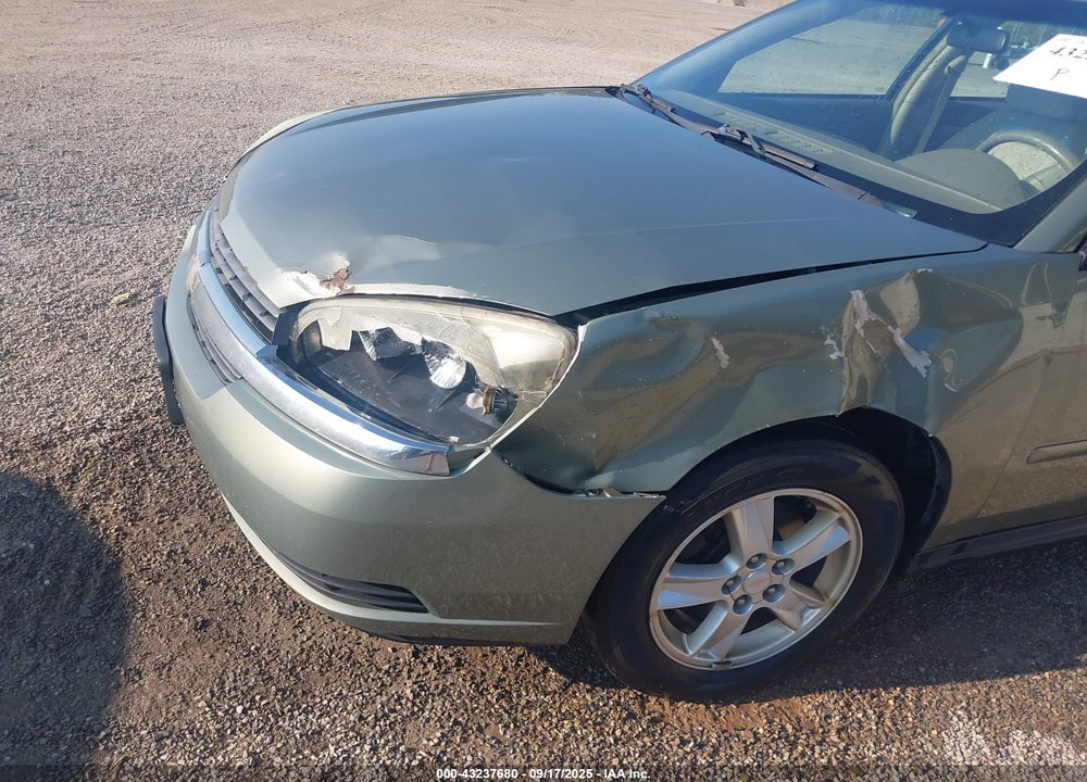 2004 CHEVROLET MALIBU MAXX LS VIN: 1G1ZT64804F190167