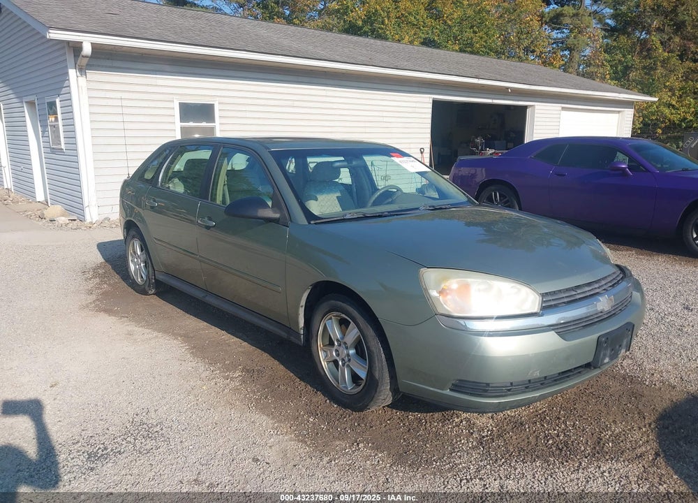 2004 CHEVROLET MALIBU MAXX LS VIN: 1G1ZT64804F190167
